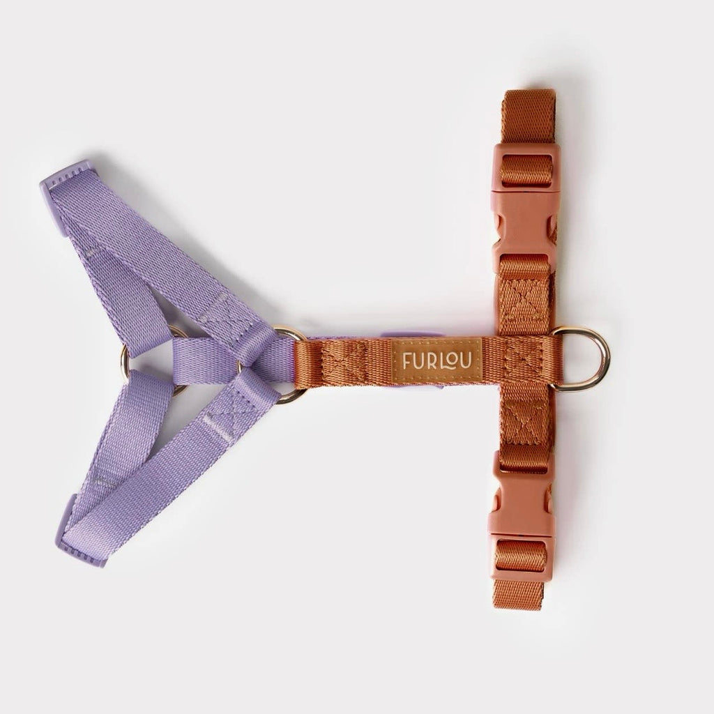 'LAVENDEL & TERRAKOTTA' HUNDEGESCHIRR