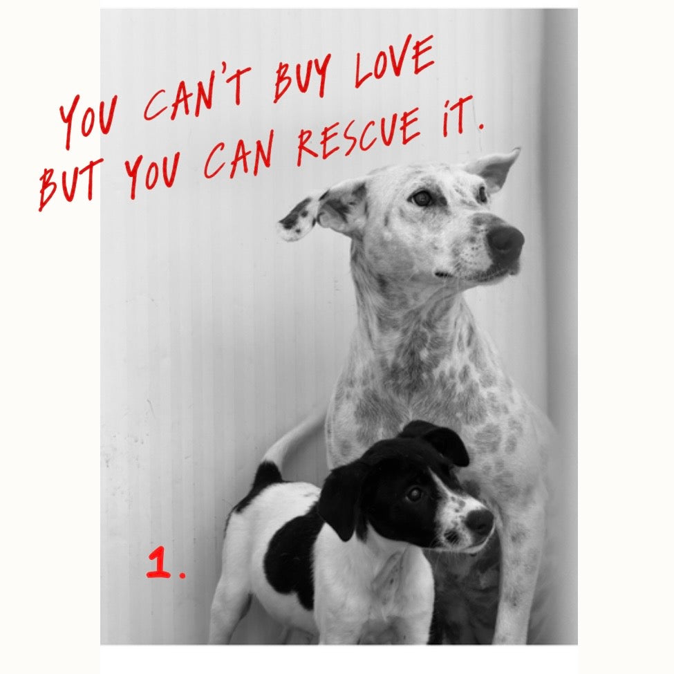 YOU CAN'T BUY LOVE BUT YOU CAN RESCUE IT.  HOODIE