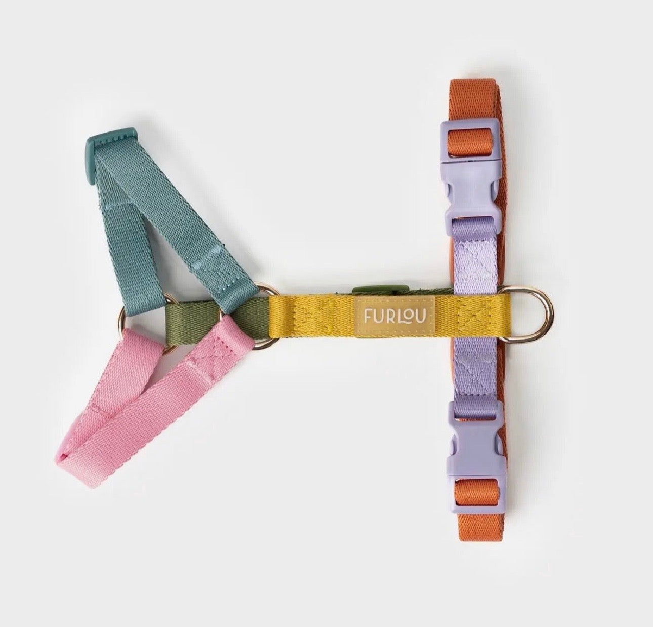 'REGENBOGEN'  HUNDEGESCHIRR