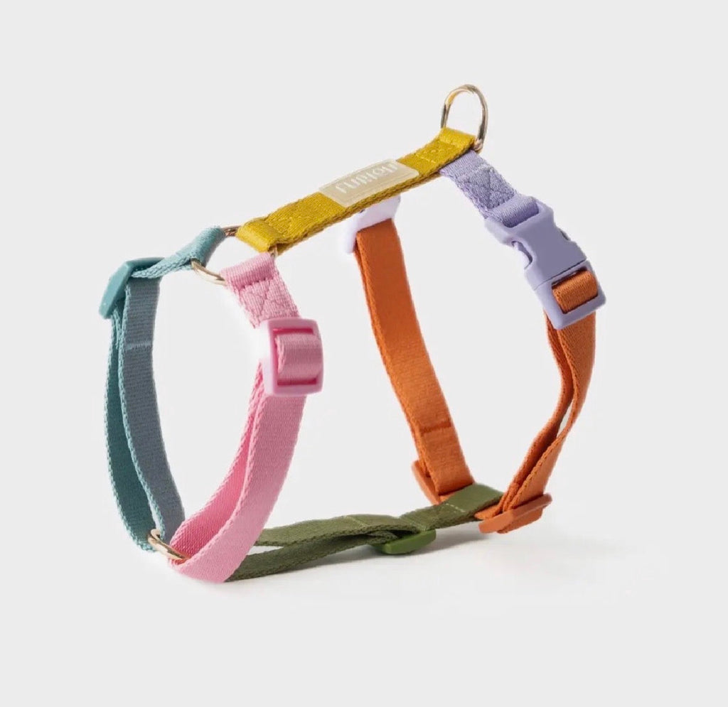 'REGENBOGEN'  HUNDEGESCHIRR