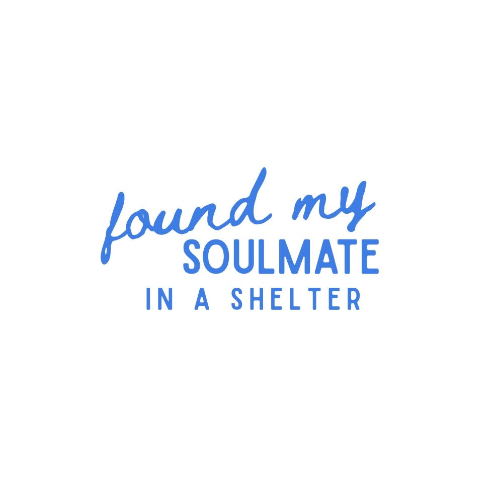 FOUND MY SOULMATE IN A SHELTER.