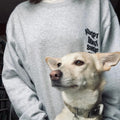 ADOPT DON'T SHOP CLUB
