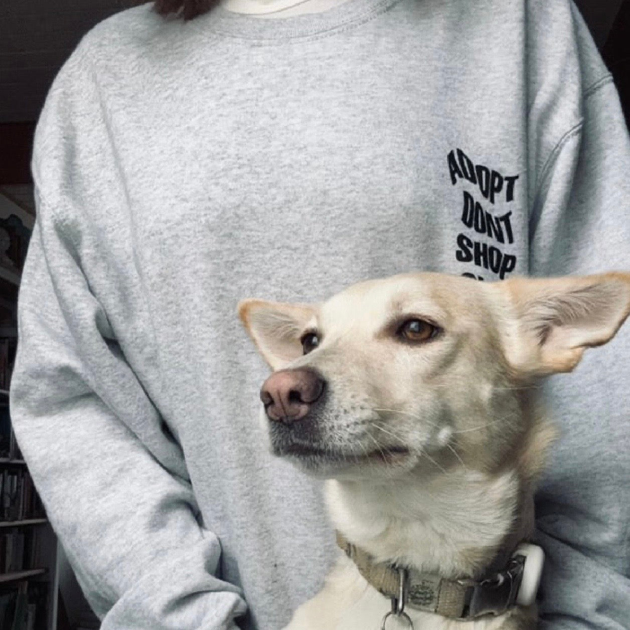 ADOPT DON'T SHOP CLUB