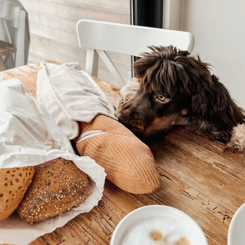 BAGUETTE