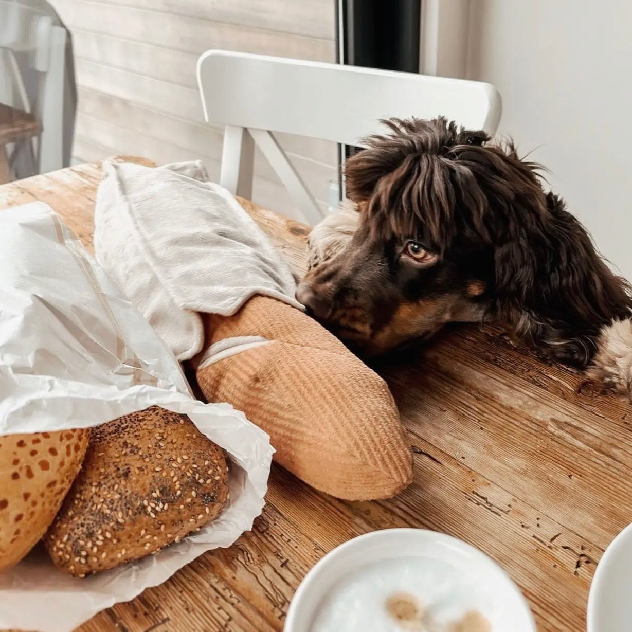 BAGUETTE