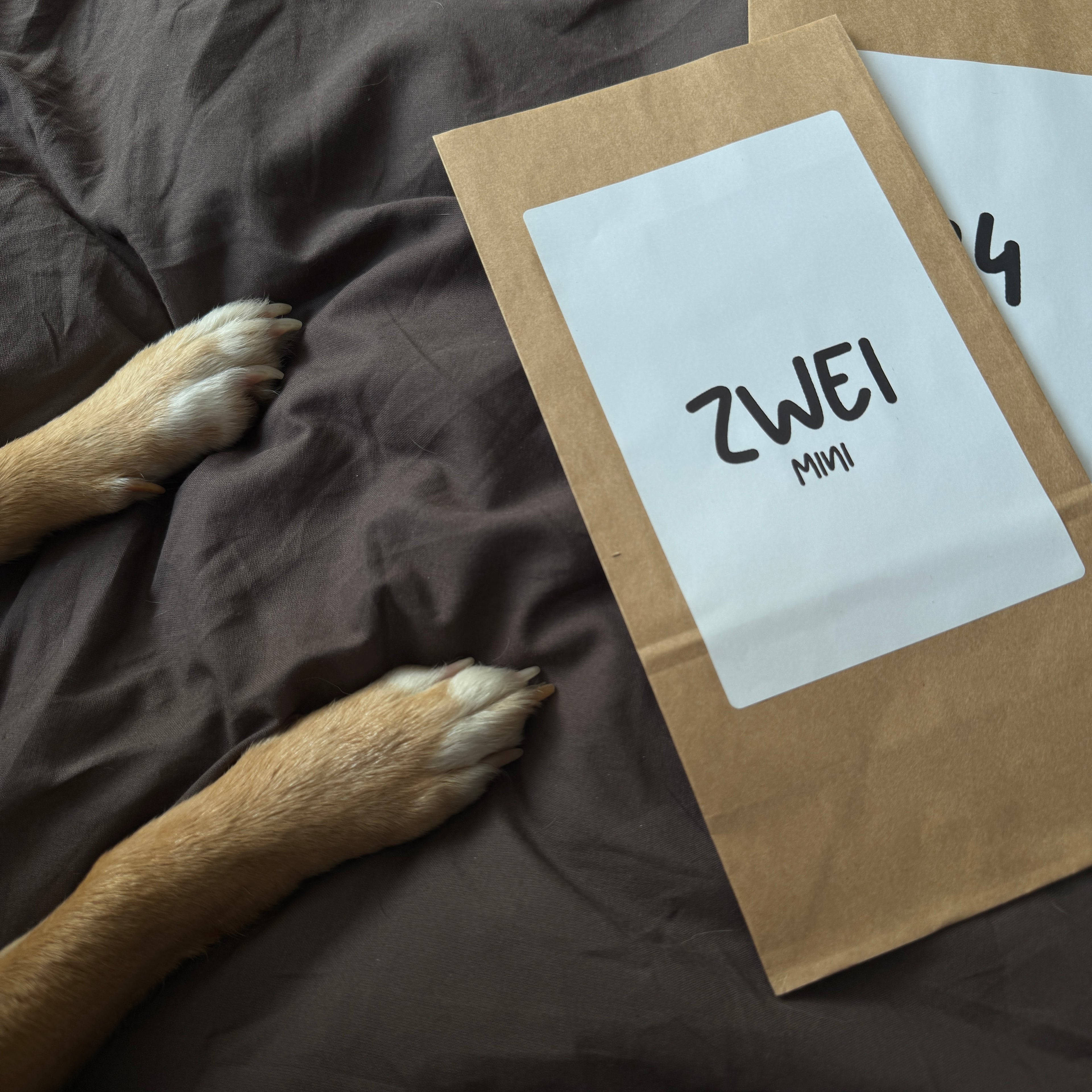 24 TAGE FREUDE FÜR DEINEN BESTEN FREUND