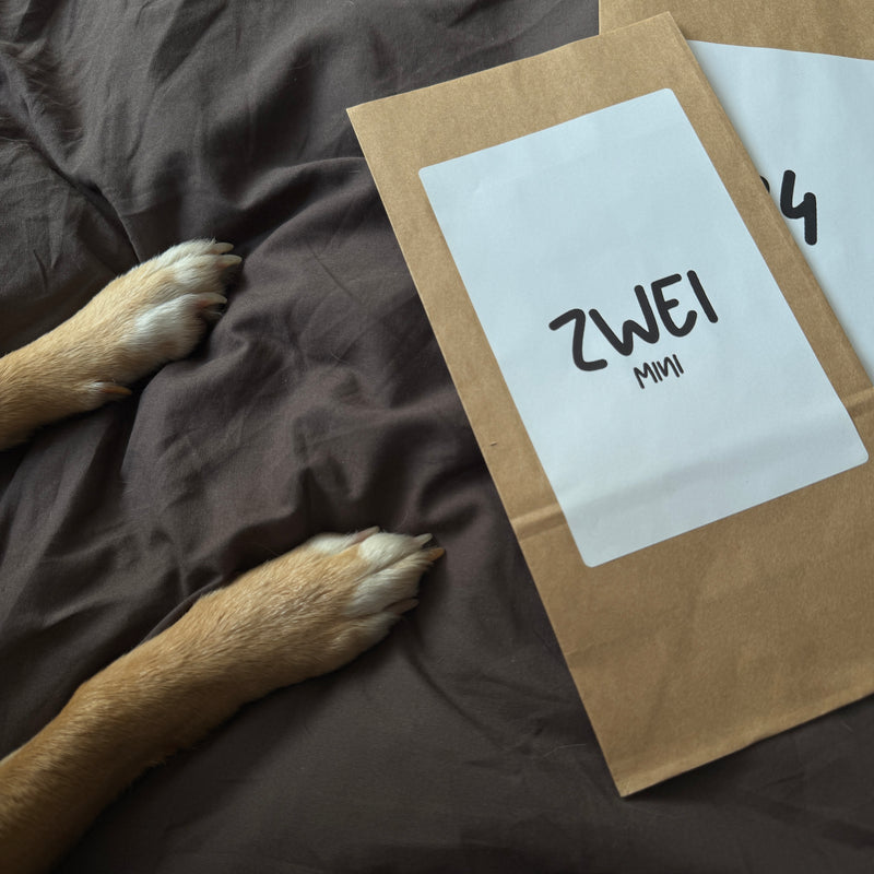 24 TAGE FREUDE FÜR DEINEN BESTEN FREUND