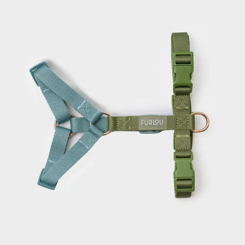 'BLAU & GRÜN'  HUNDEGESCHIRR