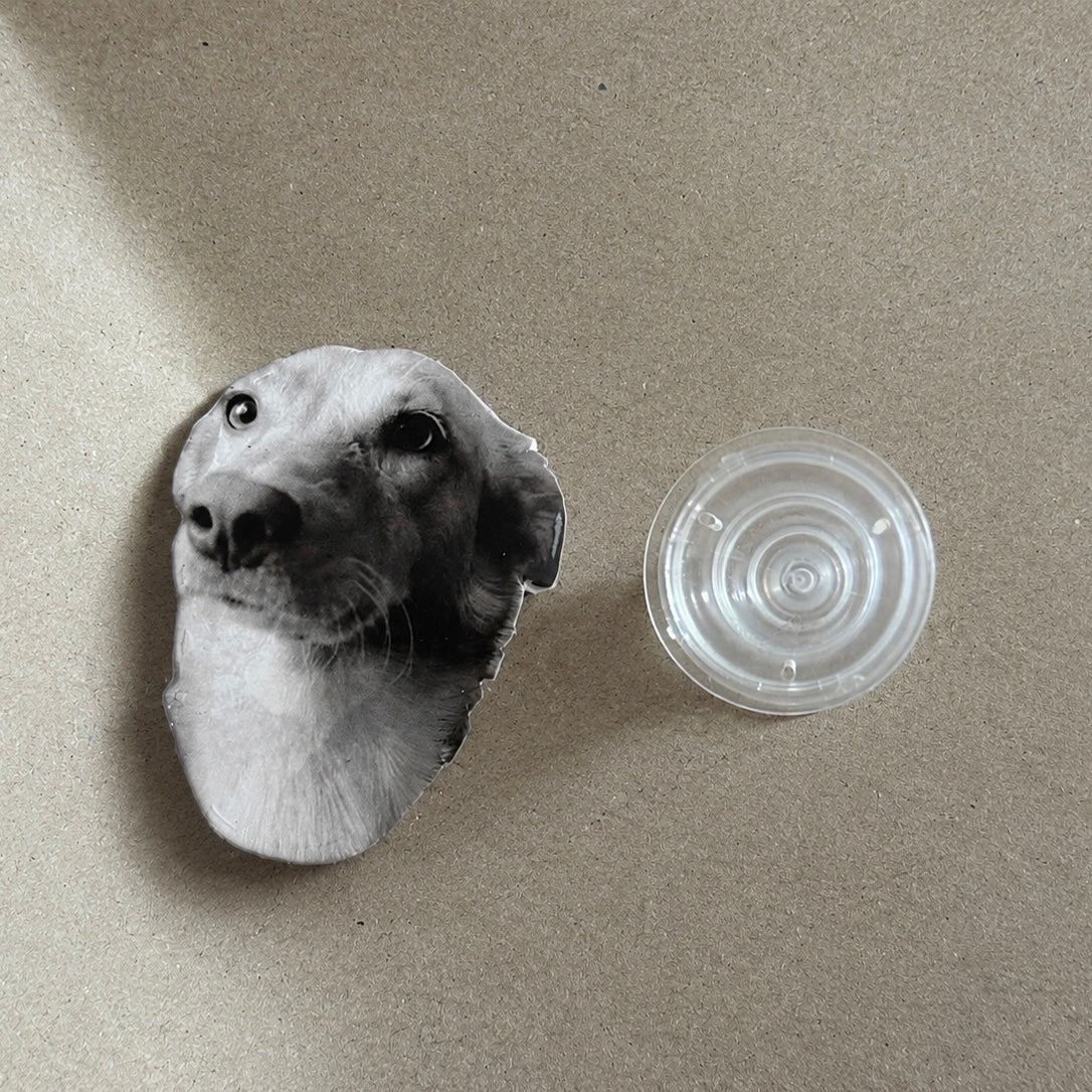 PET PHONE GRIP | HANDYHALTER MIT DEINEM HAUSTIER