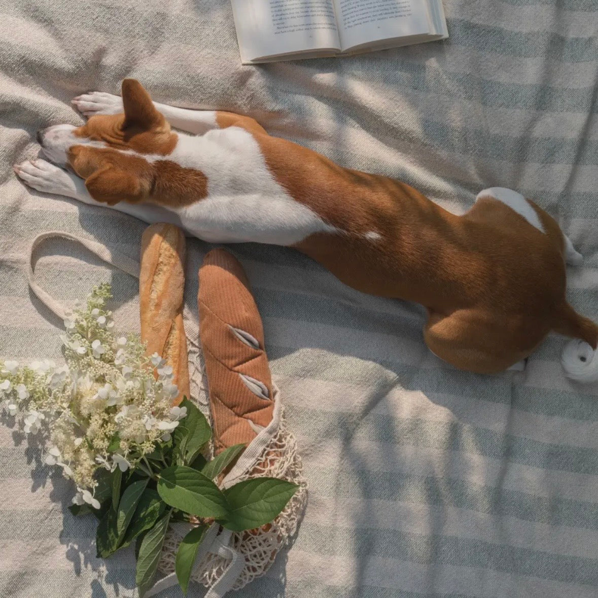 BAGUETTE